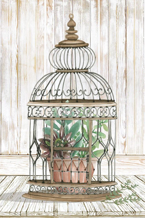 Caged Beauty I