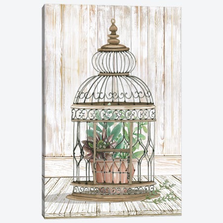 Caged Beauty I Canvas Print #CJA336} by Cindy Jacobs Canvas Artwork