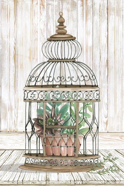 Caged Beauty I