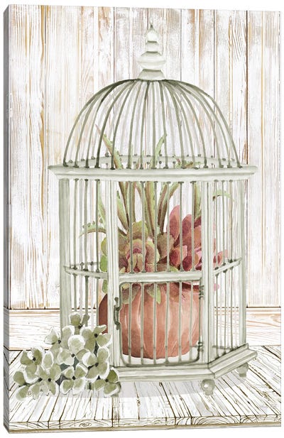 Caged Beauty II Canvas Art Print - Cindy Jacobs