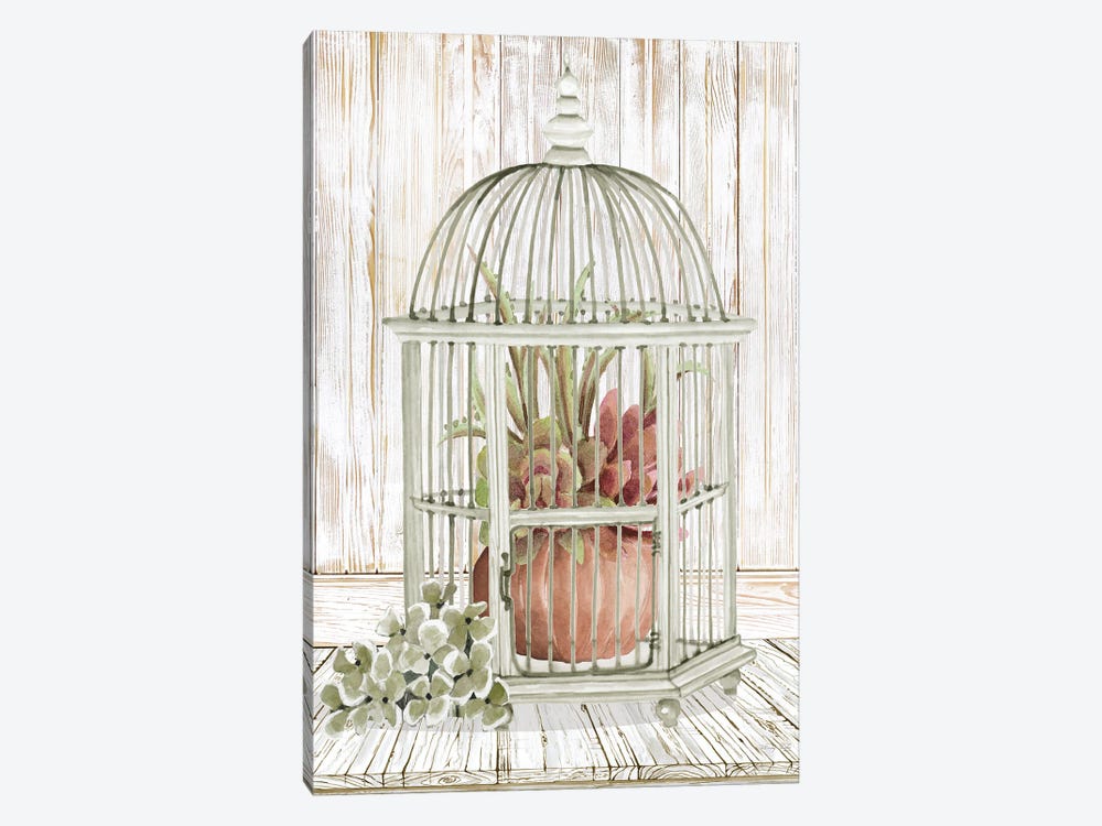 Caged Beauty II by Cindy Jacobs 1-piece Canvas Art
