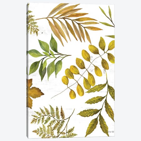 Leaf Patterns I Canvas Print #CJA345} by Cindy Jacobs Canvas Print