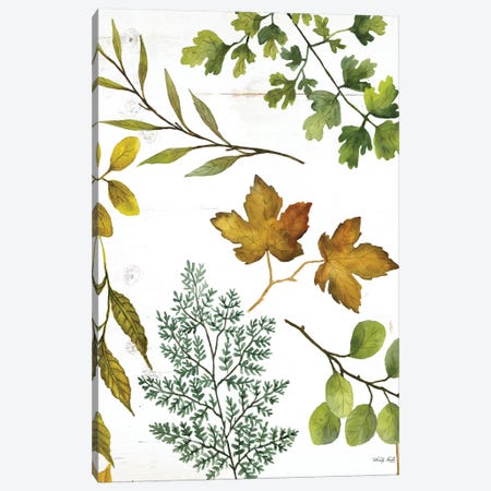 Leaf Patterns II Canvas Print #CJA346} by Cindy Jacobs Canvas Art Print