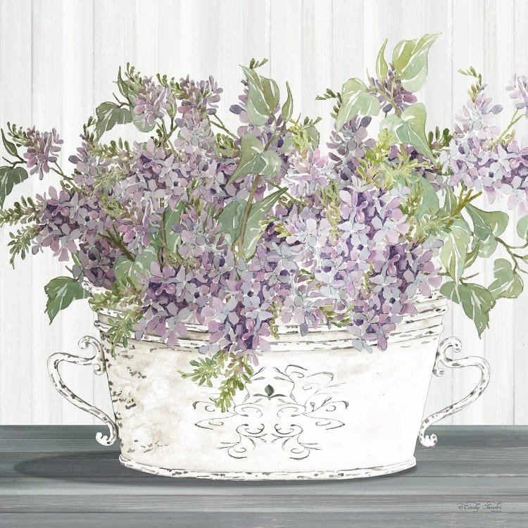 Lilac Galvanized Pot by Cindy Jacobs wall art