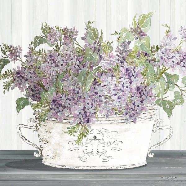 Still Life: Lilac Galvanized Pot by Cindy Jacobs