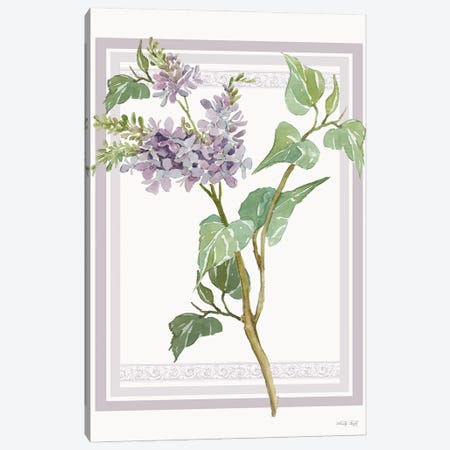 Lilacs V Canvas Print #CJA352} by Cindy Jacobs Art Print