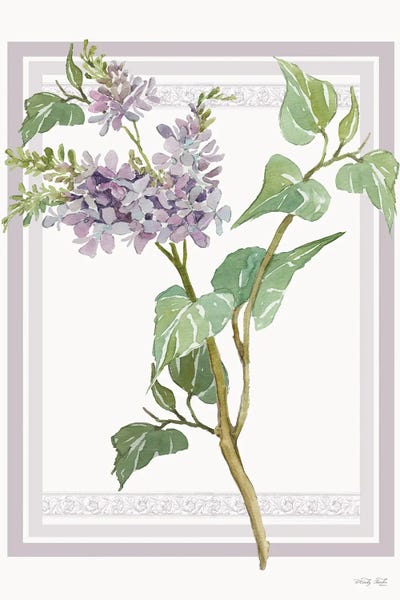 Lilacs: Lilacs V by Cindy Jacobs