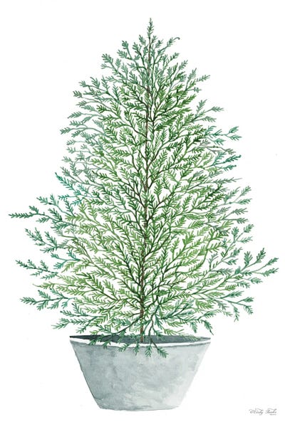 Cedar Tree In Pot by Cindy Jacobs framed wall art