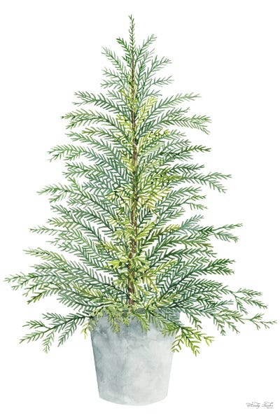 Spruce Tree In Pot by Cindy Jacobs framed wall art