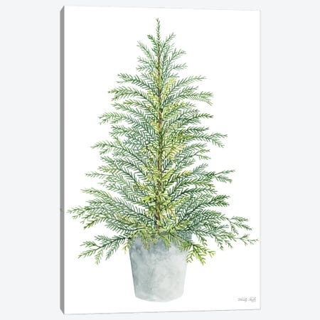 Spruce Tree In Pot Canvas Print #CJA409} by Cindy Jacobs Art Print