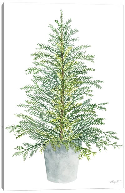 Spruce Tree In Pot Canvas Art Print - Evergreen Tree Art