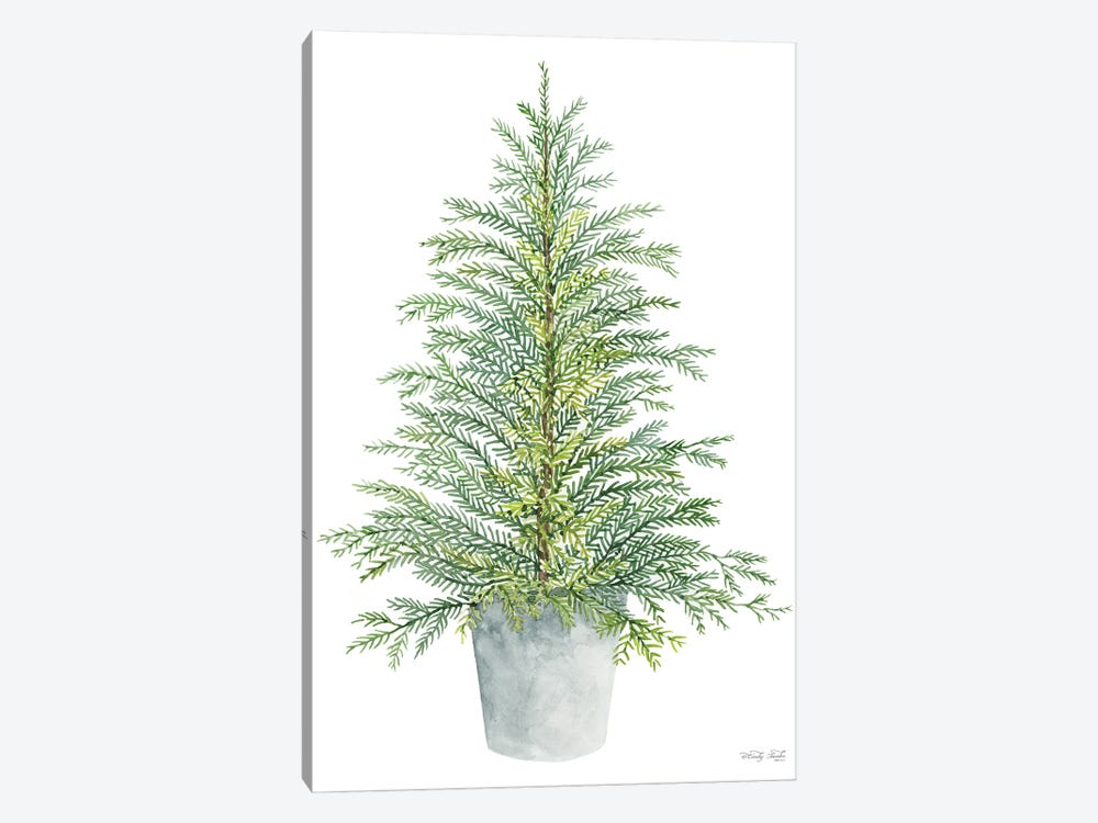 Spruce Tree In Pot by Cindy Jacobs 1-piece Canvas Wall Art