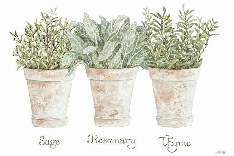 Herb Trio by Cindy Jacobs wall art