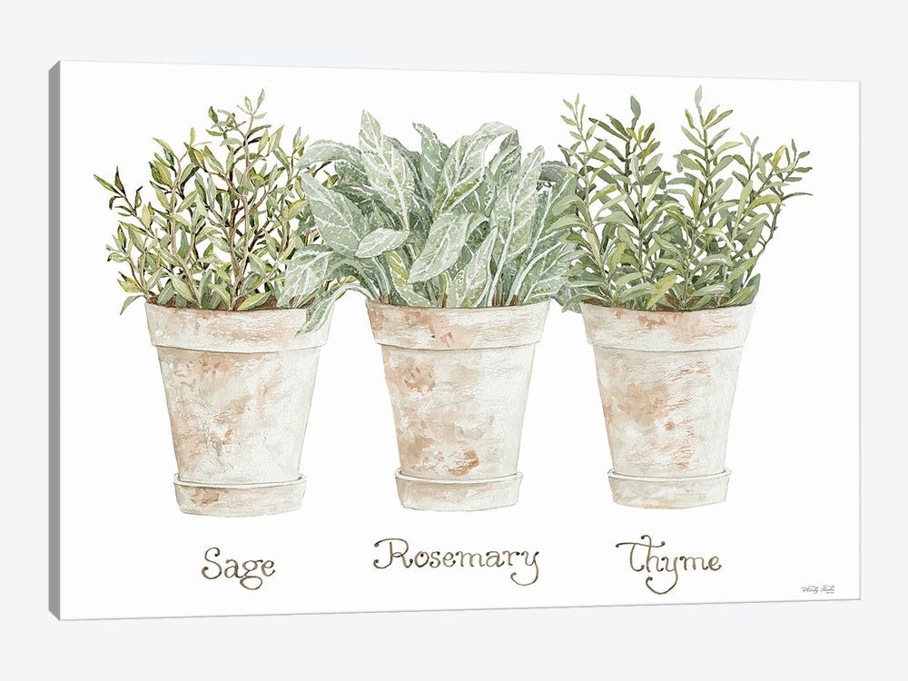 Herb Trio by Cindy Jacobs 1-piece Canvas Wall Art
