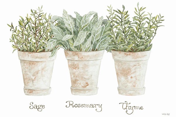 Modern Farmhouse Décor: Herb Trio by Cindy Jacobs