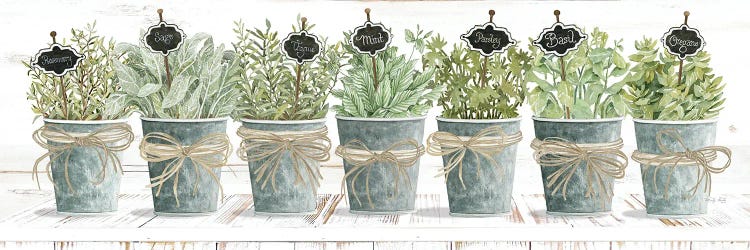 Herbs In A Row by Cindy Jacobs wall art