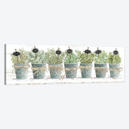 Herbs In A Row Canvas Print #CJA453} by Cindy Jacobs Canvas Art
