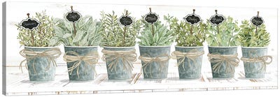 Herbs In A Row Canvas Art Print - Large Art for Kitchen