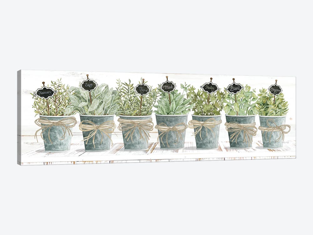 Herbs In A Row by Cindy Jacobs 1-piece Canvas Art Print