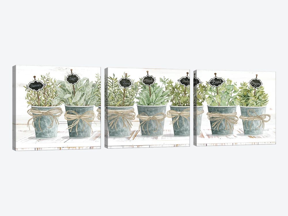 Herbs In A Row by Cindy Jacobs 3-piece Canvas Print