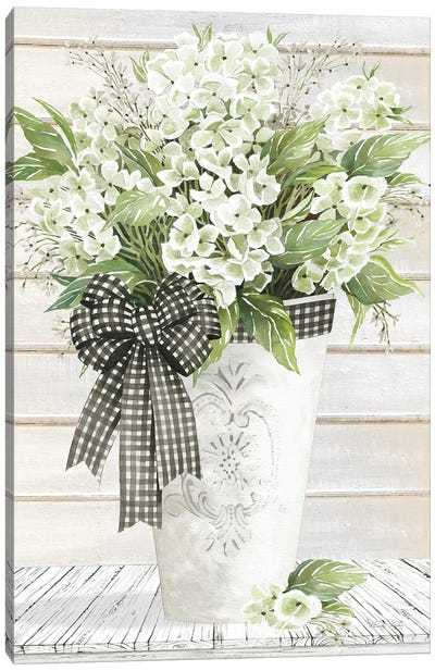 White Hydrangeas Canvas Art Print - Cindy Jacobs