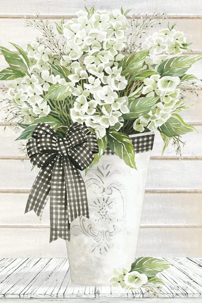 Country Décor: White Hydrangeas by Cindy Jacobs