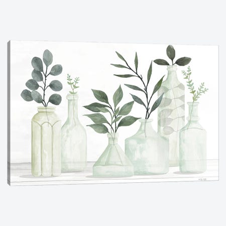 Bottles And Greenery II Canvas Print #CJA485} by Cindy Jacobs Canvas Art