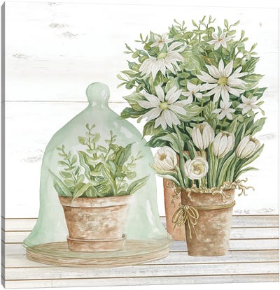 Flowers And Terrarium Canvas Art Print - Cindy Jacobs