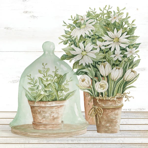 Wall Art: Flowers And Terrarium by Cindy Jacobs