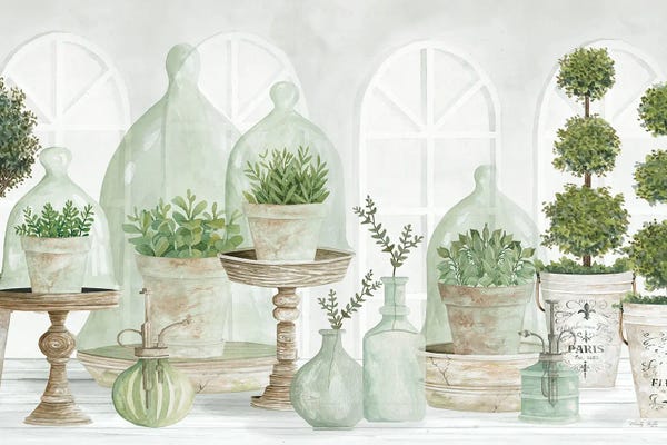 Kitchen: Nice And Neutral Plant Collection by Cindy Jacobs