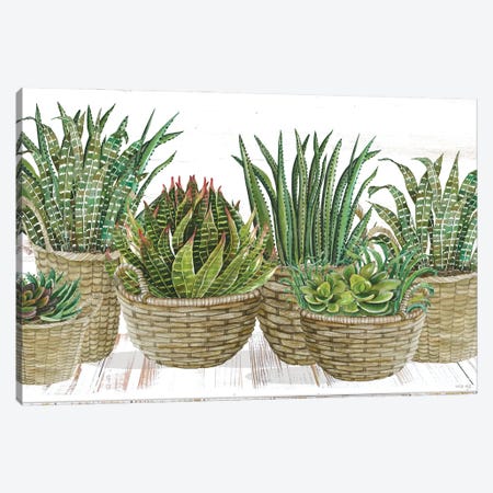 Succulent Baskets Canvas Print #CJA518} by Cindy Jacobs Canvas Art Print