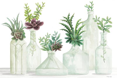 Succulent Bottles by Cindy Jacobs framed wall art
