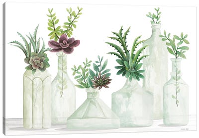 Succulent Bottles Canvas Art Print - Cindy Jacobs