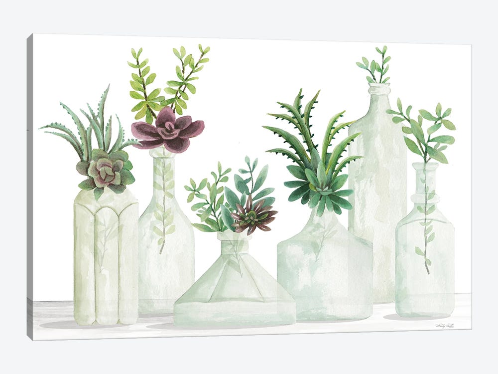 Succulent Bottles by Cindy Jacobs 1-piece Canvas Wall Art