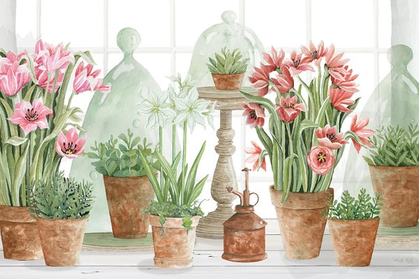 Gardening: Terracotta Collection I by Cindy Jacobs
