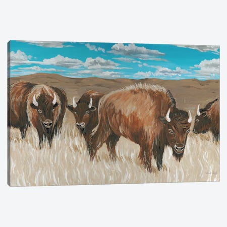 Bison Herd I Canvas Print #CJA527} by Cindy Jacobs Art Print