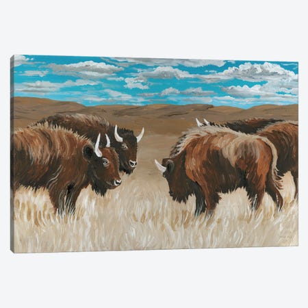 Bison Herd II Canvas Print #CJA528} by Cindy Jacobs Canvas Wall Art