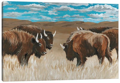 Bison Herd II Canvas Art Print - Bison & Buffalo Art