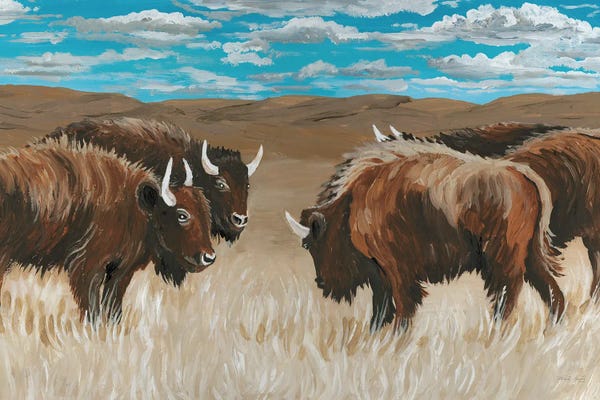 Bison & Buffaloes: Bison Herd II by Cindy Jacobs