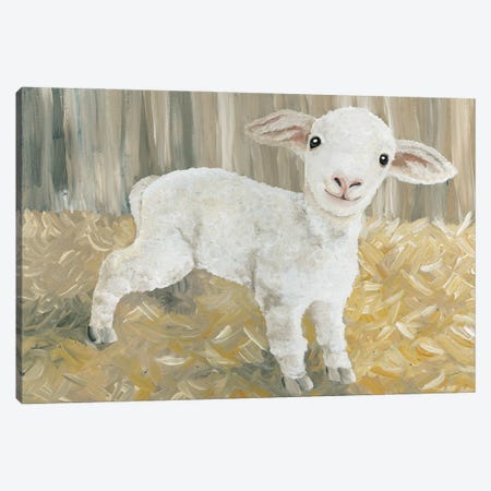 Titus The Tiny Lamb Canvas Print #CJA559} by Cindy Jacobs Art Print