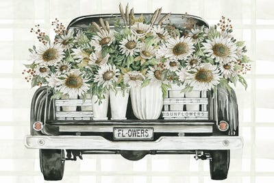 Sunflower Truck by Cindy Jacobs framed wall art