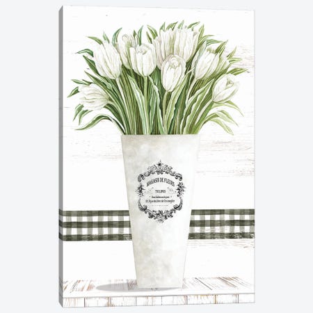 White Tulips Canvas Print #CJA586} by Cindy Jacobs Canvas Art Print