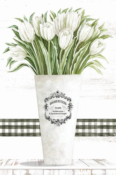 Tulips: White Tulips by Cindy Jacobs