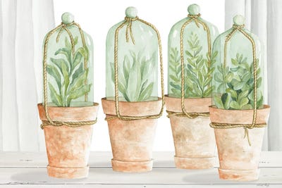 Herb Collection by Cindy Jacobs framed wall art