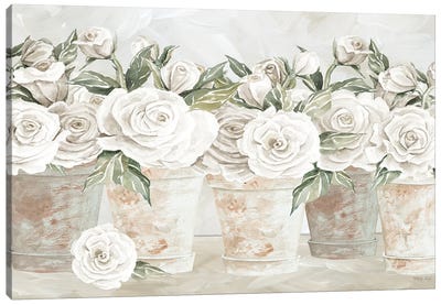 Potted Roses Canvas Art Print - Cindy Jacobs