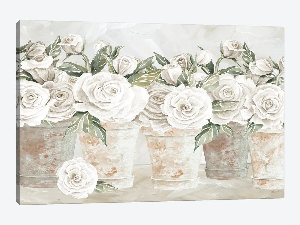Potted Roses by Cindy Jacobs 1-piece Canvas Print