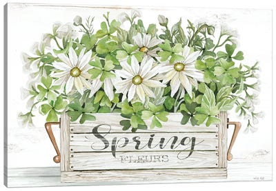 Spring Flowers Canvas Art Print - Cindy Jacobs