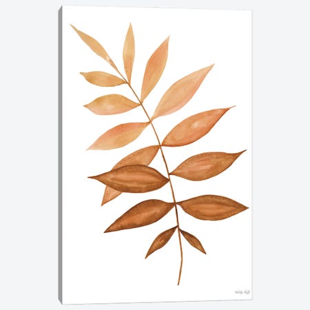 Fall Leaf Stem II Canvas Print #CJA657} by Cindy Jacobs Canvas Art Print