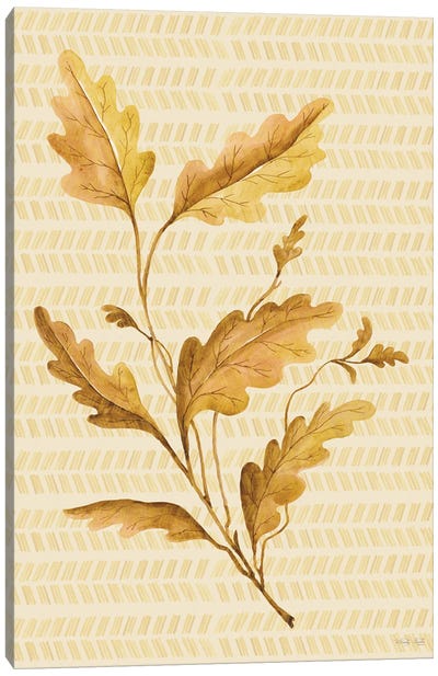 Golden Oak Canvas Art Print - Cindy Jacobs