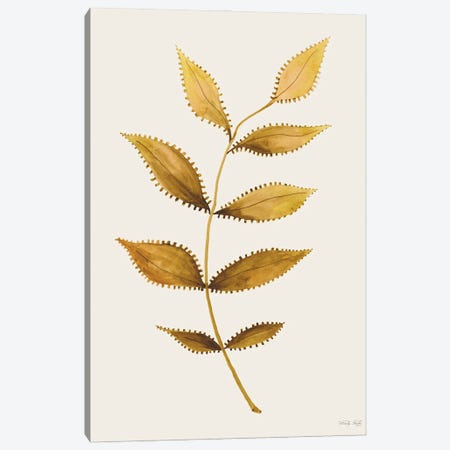 Golden Spotted Leaves Canvas Print #CJA665} by Cindy Jacobs Canvas Art